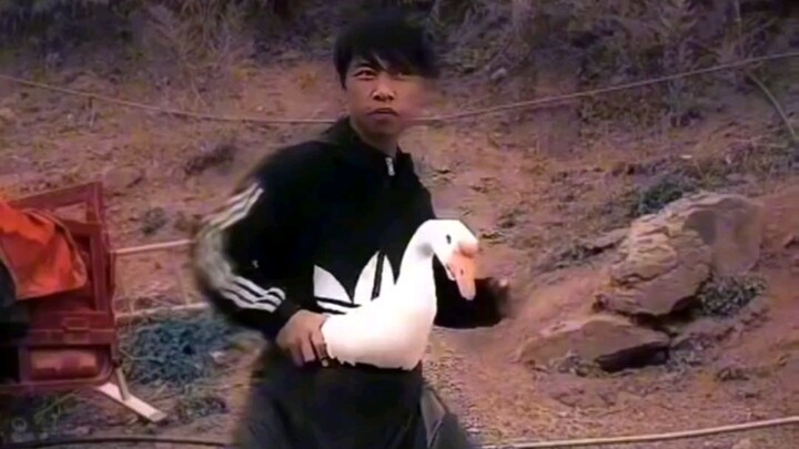 The Wind Eagle Armor Is All a Lie 🥵