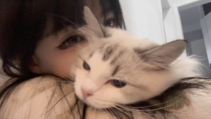 ชาติหน้าขอเป็นน้องแมวอย่างหลัวเป่ยนะ～