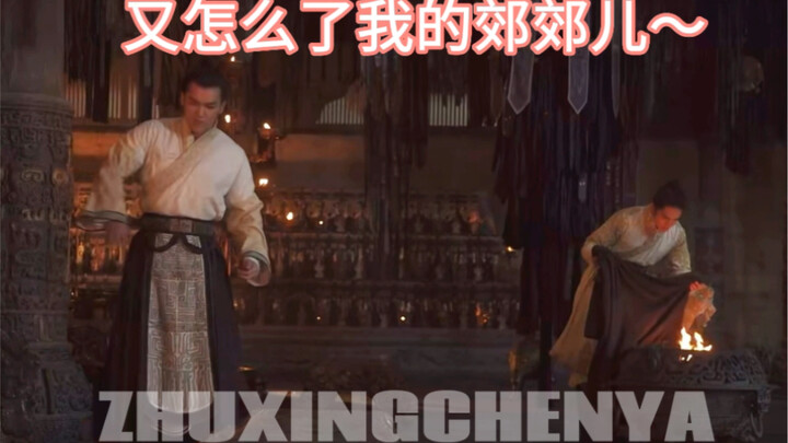 武王哥养哈基米是什么体验？玄鸟再倔也是祥瑞！