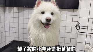 给两个小家伙洗澡，没有五个小时基本完成不了！