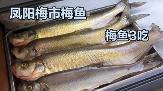 凤阳乡村土菜馆，梅白鱼三吃，一条鱼300多元，连喝几杯过瘾！【唐哥美食】