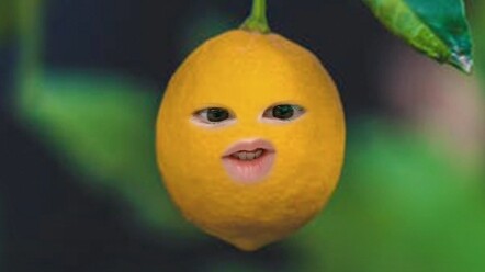 الـCP بين بان يانغ وليو تشنغ من الحب المجنون إلى فقدان المعجبين!