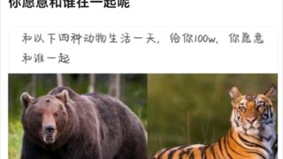 Let's try being an alligator—and while we're at it, see what it feels like to be a cold-blooded crea