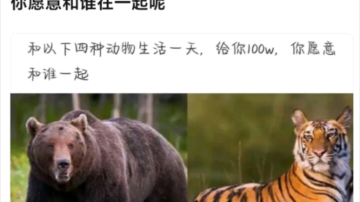 Let's try being an alligator—and while we're at it, see what it feels like to be a cold-blooded crea