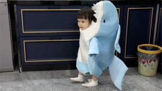 鲨鱼宝宝出来觅食啦～