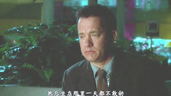 146. 励志片：男人困在异国机场数月，语言不通无家可归，却活出了精彩