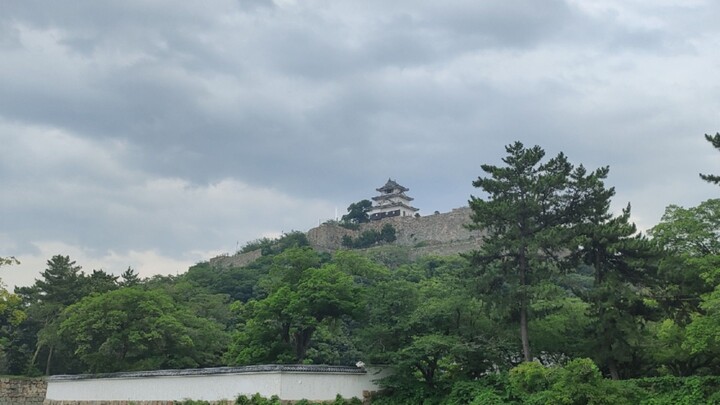 มาที่ญี่ปุ่น ณ Marugame Castle จังหวัด kagawa