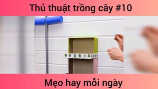 Mẹo thủ thuật trồng cây p10