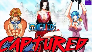 One Piece Special #495: Sabo Weiwei and the Empress's Safety