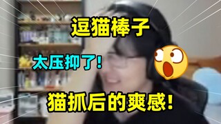 逗猫棒子？史无前例的炫压抑！神人哥们描述自己被幼猫抓伤后的🦌爽感，神级文笔和变态程度，让瓶子都没绷住哈哈大笑！