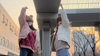 风再大也要fighting！【BSS】
