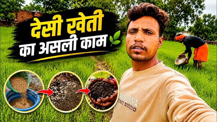 धान की खेती 🌾 | खेत में धान की रोपाई और खेती का पूरा नज़ारा | Village Farming Vlog