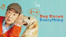 Dog Knows Everyting Episode 8 Sub Indo