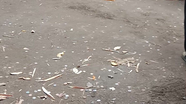 win2x walang sugat talisay