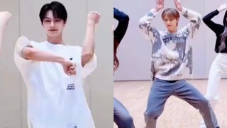 Saya sarankan agar semua penari grup perempuan datang ke Wen Junhui untuk meminta bantuan!