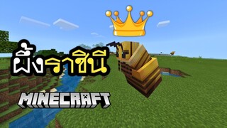ผึ้งราชินี ของใหม่!! ในมายคราฟ จะเป็นอย่างไร | Minecraft PE