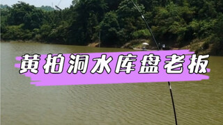 خزان هوانغبو دونغ، سمك الشبوط والبلطي، لم أرَ من قبل صاحبًا متعجرفًا إلى هذا الحد أبدًا