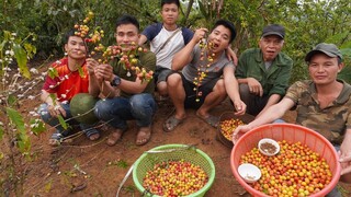 MẬN TAM HOA TÂY BẮC