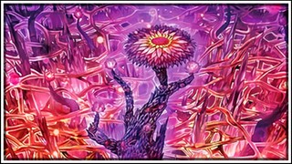 What Have They Done... [Yu-Gi-Oh! Master Duel]
