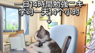 Japanese natural little sister reads "【Departure】The story of a Japanese single mother's changing va