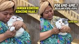 Lucu & Menggemaskan.! Diajak Main Pok Ame", Si Kucing Pasrah Sambil Cemberut ~ Video Kucing Lucu
