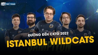 ĐƯỜNG ĐẾN CKTG 2022 | ISTANBUL WILDCATS - MÈO CON THỔ NHĨ KỲ