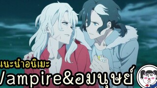 [Re-Upload] : แนะนำอนิเมะ แนวแวมไพร์ & อมนุษย์  -  EP.2