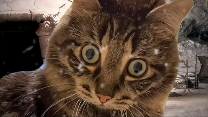 When you try to steal Moon Sugar from a Khajiit #skyrim #memes