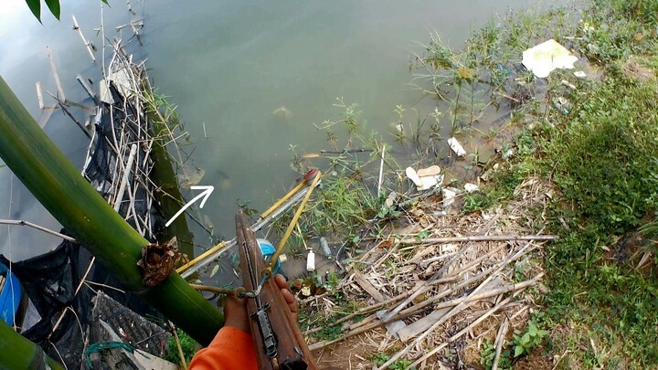 shoot fish in Reservoir