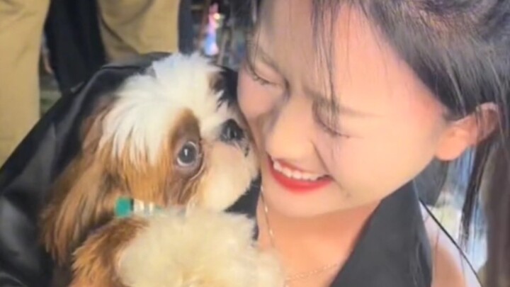 [Tan Jianci] Tan Jianci’s dog is learning to socialize too—must be Dad teaching it!