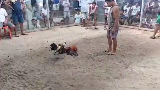 sagupaan sa Casiguran