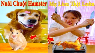 Thú Cưng TV | Gâu Đần và Bà Mẹ #12 | Chó Golden Gâu Đần thông minh vui nhộn | Pets cute smart dog