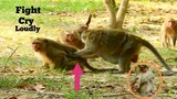 OH MY GOD!!, KING MONKEY TORTURED FEMALE CRY LOUDLY, LITTLE MONKEY MISTREAT KING FROG NEARLY DIE