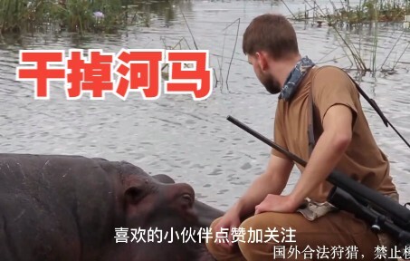 สัตว์ที่คร่าชีวิตมนุษย์มากที่สุดกลับเป็นฮิปโป? วันนี้ Hunter x Hunter กำลังจะจัดการมันสักที!