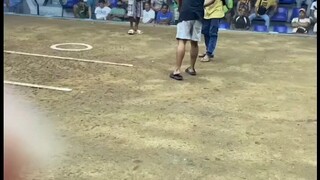 ABUHIN(WIN)