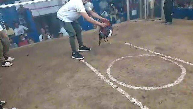 ENTRY NAME DANTE -CHAMPION🏆-2nd FIGHT 2COCK ULUTAN WIN @ BULAKAN BULACAN SPORT COLISEUM12/24/2023