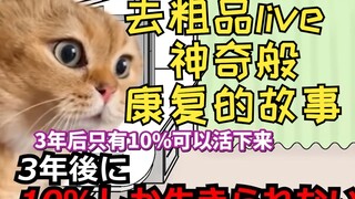 [Subtitled Content] A Story of Being Healed by an Incredible Force When I Thought I Only Had Three Y