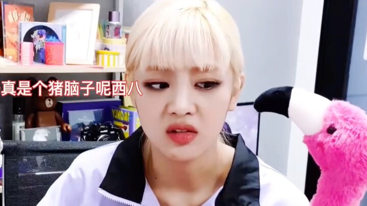 คลาสฟลามิงโก้ของมินนี่ขี้หงุดหงิด