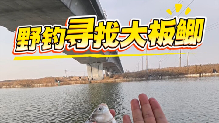 ตกปลาธรรมชาติเพื่อตามหาปลาตะเพียนตัวใหญ่