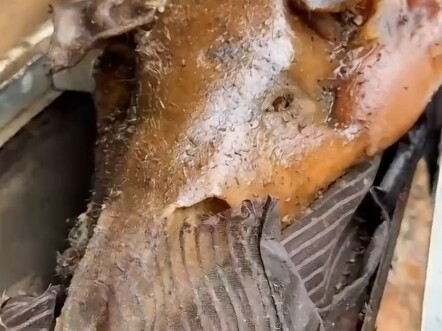 Brothers from Yunnan, Guizhou, and Sichuan are just too supermodel-level!