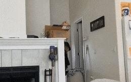 แมวรับกรรมทันที