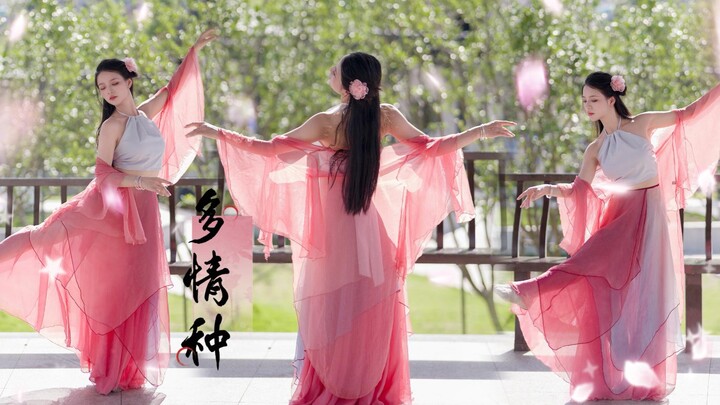 【小蝶】多情种~回忆嵌在残月中