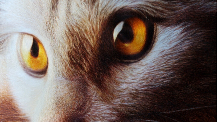 This glance stitched by the "Queen of Suzhou Embroidery" reveals over 40 years of skill!