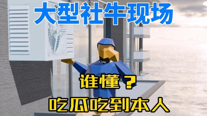 A Full-On Social Butterfly in Action!