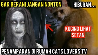 Ada Penampakan Di Basecamp Cats Lovers Tv ? Awas Hati-Hati .!