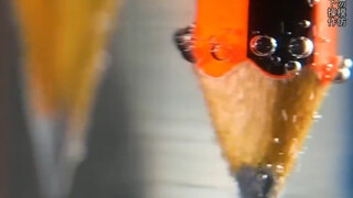 การทดลองวิทยาศาสตร์เล็กๆ ทุกอันสามารถอธิบายได้ด้วยความรู้ทางวิทยาศาสตร์