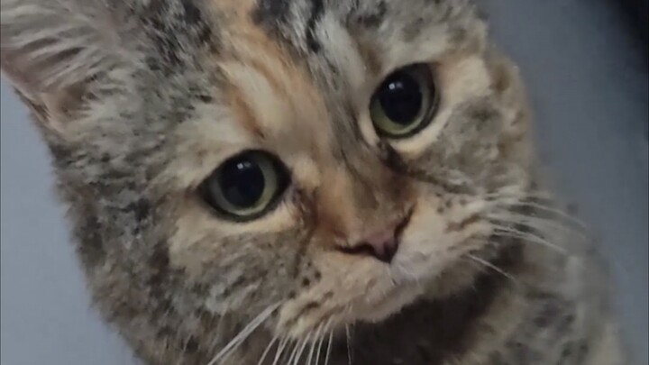 You’re awake? It’s time to get up and feed me.