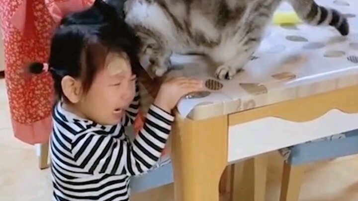 [Thú cưng] Bé gái vừa khóc là em mèo chạy đến dỗ dành ngay!