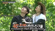 law of the jungle(kota manado) ep 254 sub indo