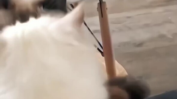 “The person you tagged will have to hang out with you for a very, very long time.”